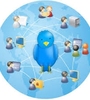 Como hacer Networking con Twitter